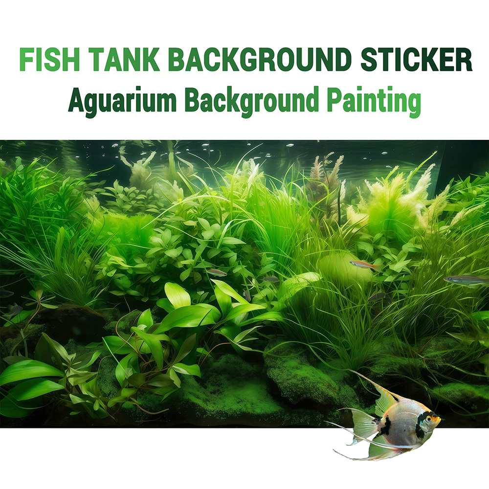 Aquarium Fish Paradise - Su Çimenleri Cenneti, Akvaryum arka plan