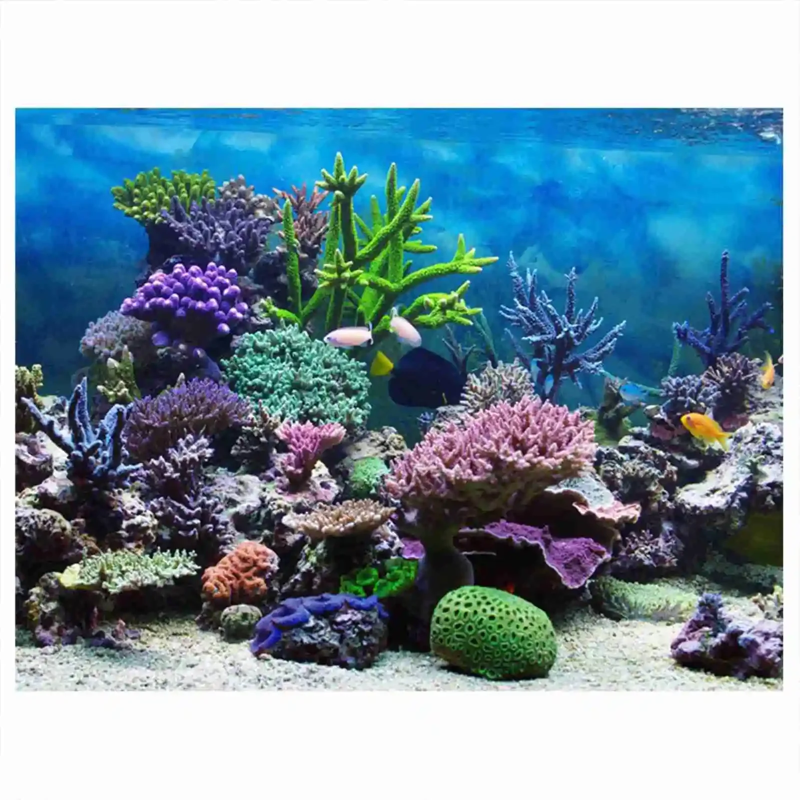 Aquarium Fish Poster - 3D akvaryum manzara Poster Rainforest duvar