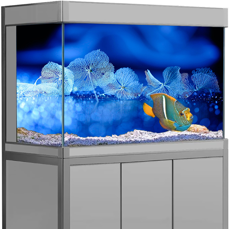 Aquarium Fish Poster - Balık Tankı Dekoru Akvaryum Arka Plan