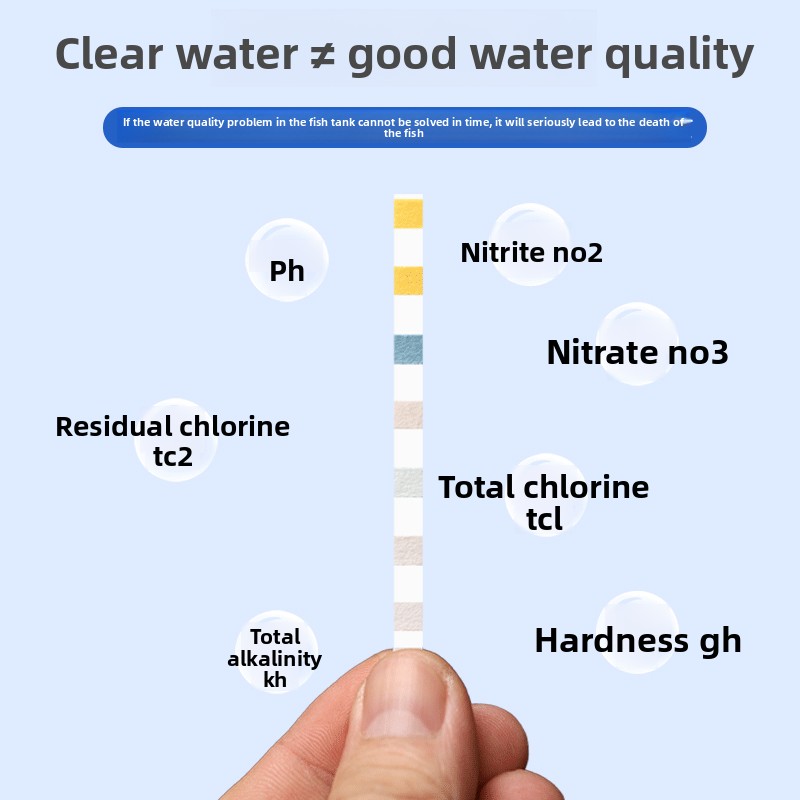 PENISON 7'si 1 Arada Akvaryum  - Aquarium Fish Quality incelemesi ve fiyatı