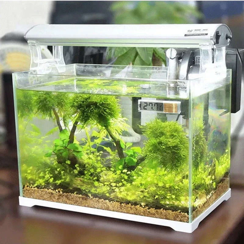 Akvaryum Termometresi Elektron - Aquarium Fish Uk incelemesi ve fiyatı