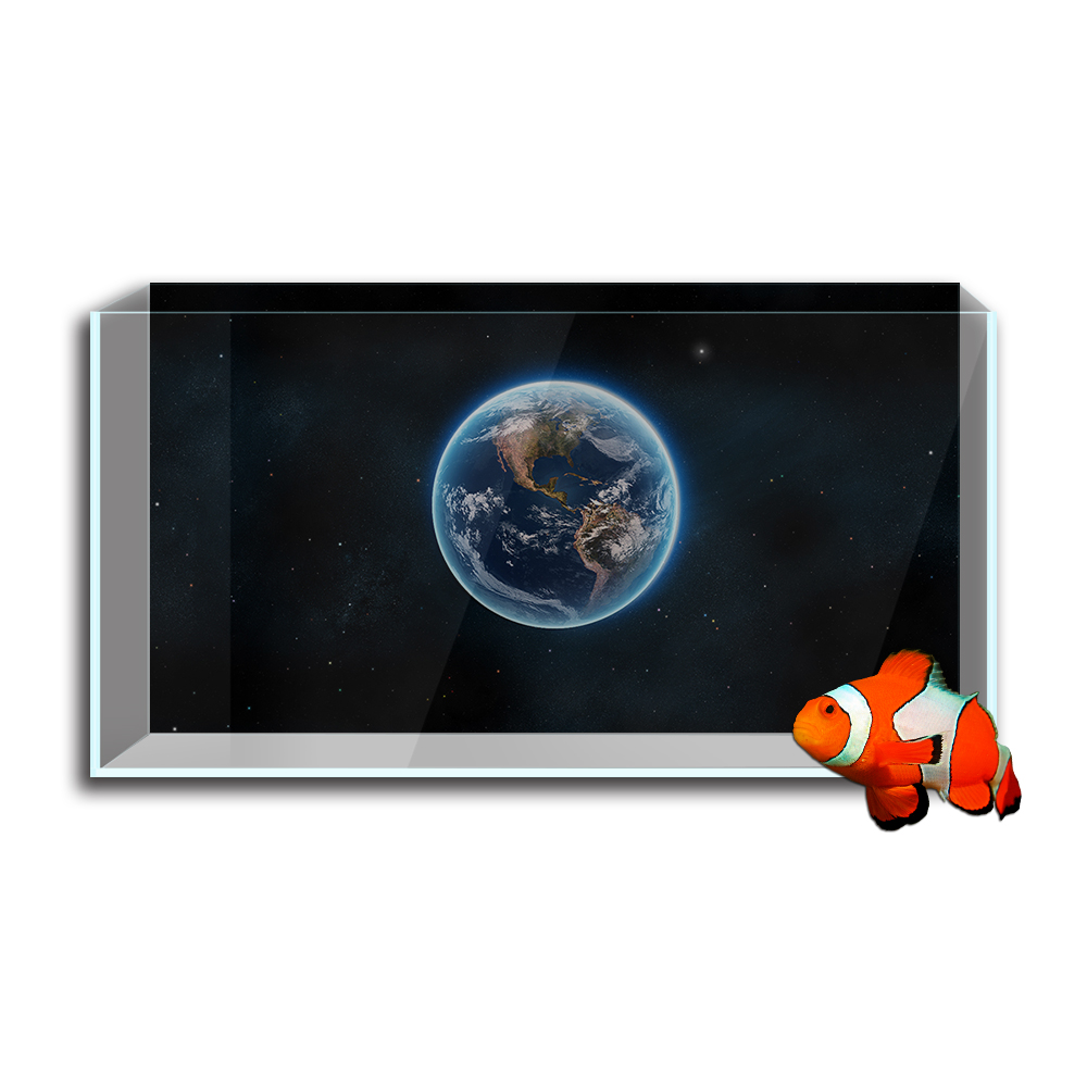 Akvaryum balık tankı arka plan - Aquarium Fish Poster incelemesi ve fiyatı