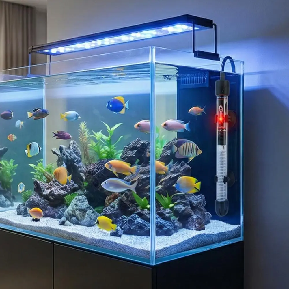 Ayarlanabilir Akvaryum Isıtıcı - Aquarium Fish Cold Water incelemesi ve fiyatı