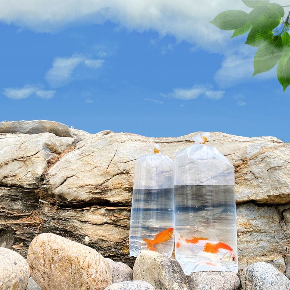10 adet plastik akvaryum solun - Aquarium Fish Delivery incelemesi ve fiyatı