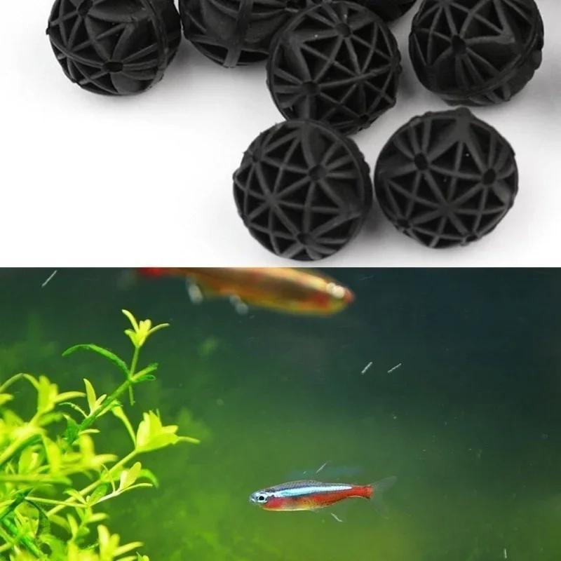 50 Adet 16mm Akvaryum Biyoloji - Aquarium Fish Quality incelemesi ve fiyatı