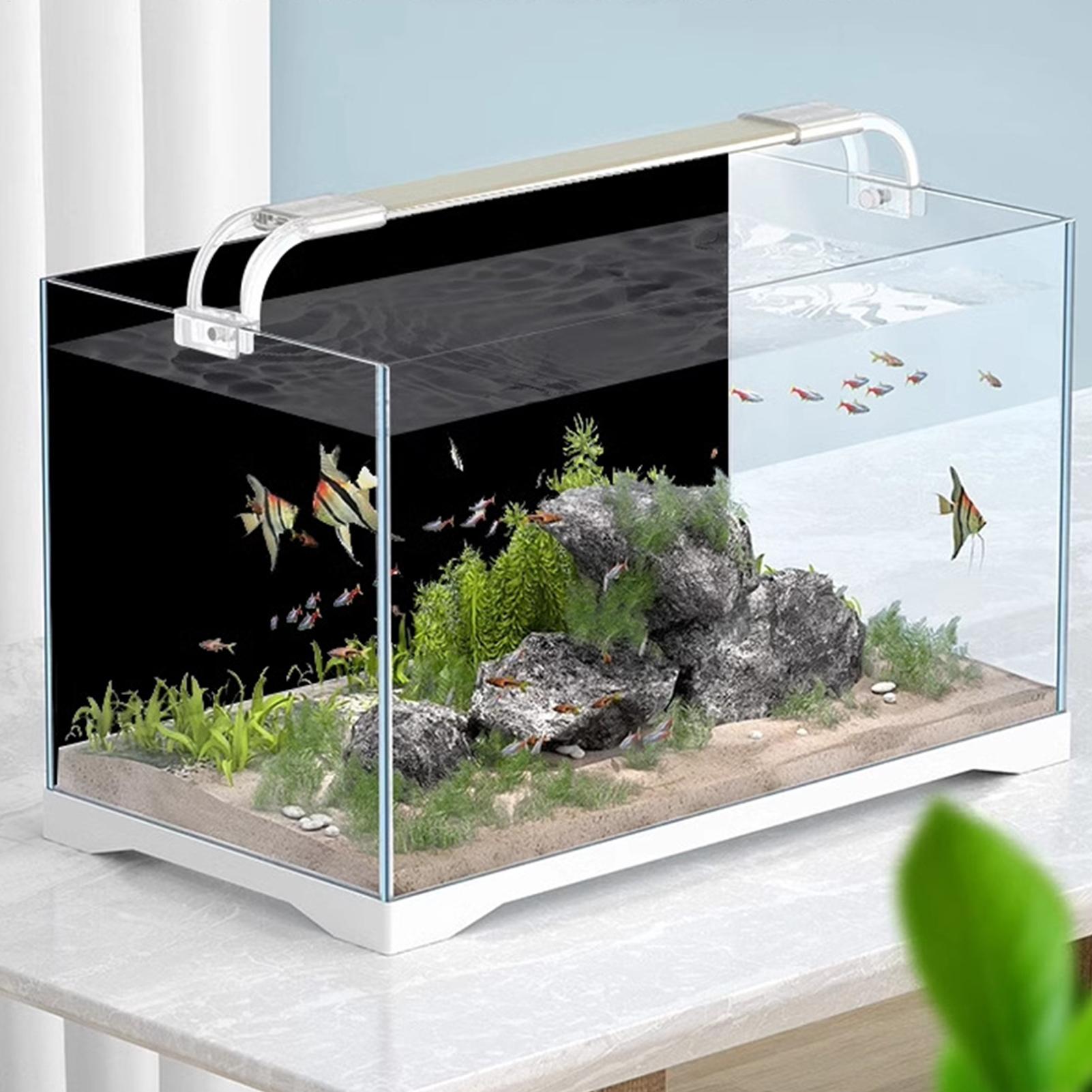Balık Tankı Arka Planı Statik  - Aquarium Fish Poster incelemesi ve fiyatı