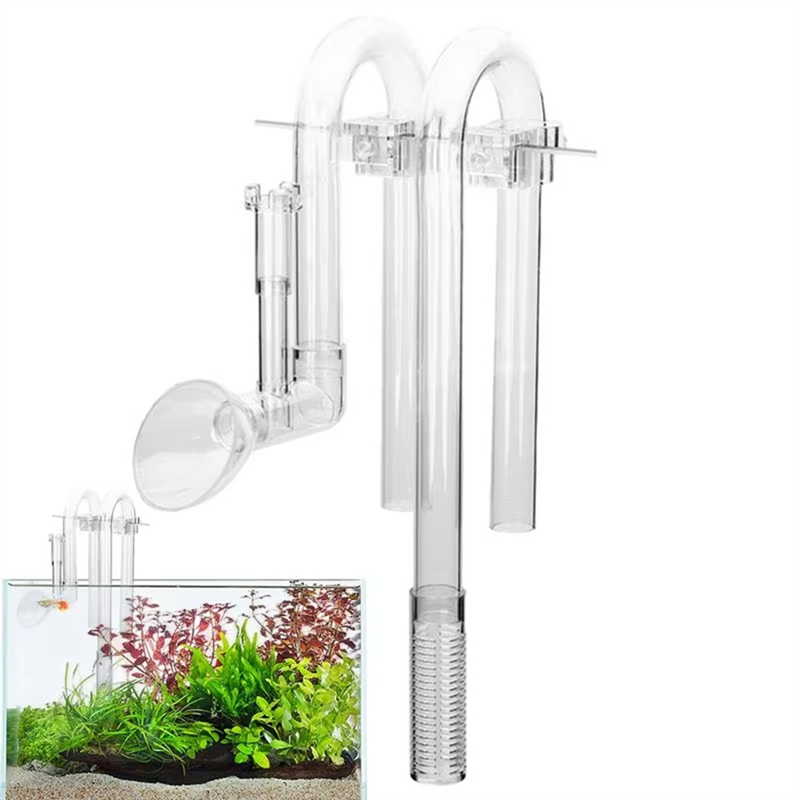 [Hızlı Teslimat] Akvaryum Giri - Aquarium Fish Delivery incelemesi ve fiyatı