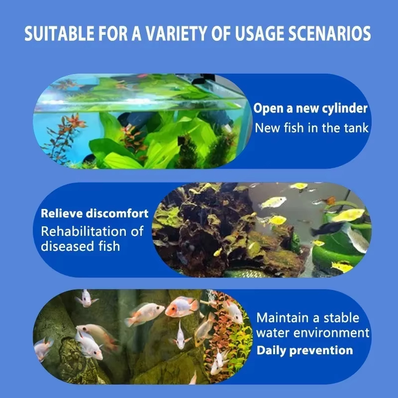 SIKEZHAN Balık Hastalığı Tedav - Aquarium Fish Quality incelemesi ve fiyatı