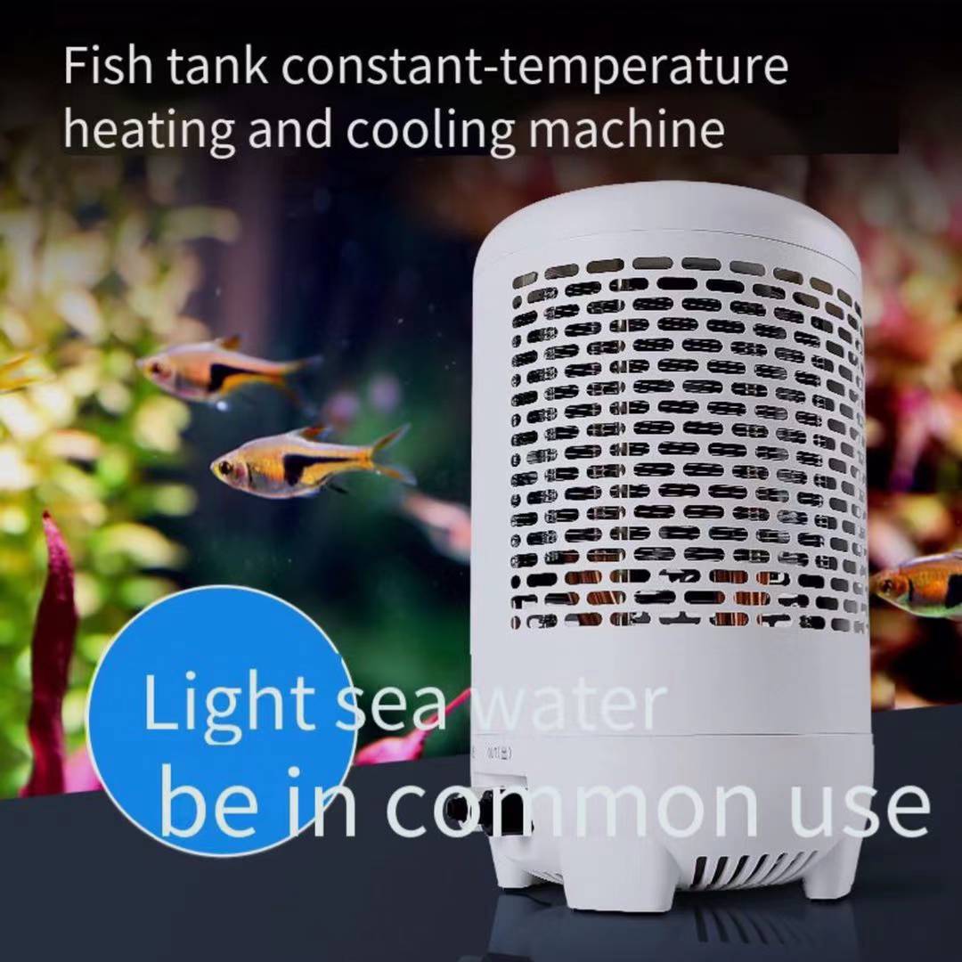 Balık tankı soğutucu denizanas - Aquarium Fish Uk incelemesi ve fiyatı