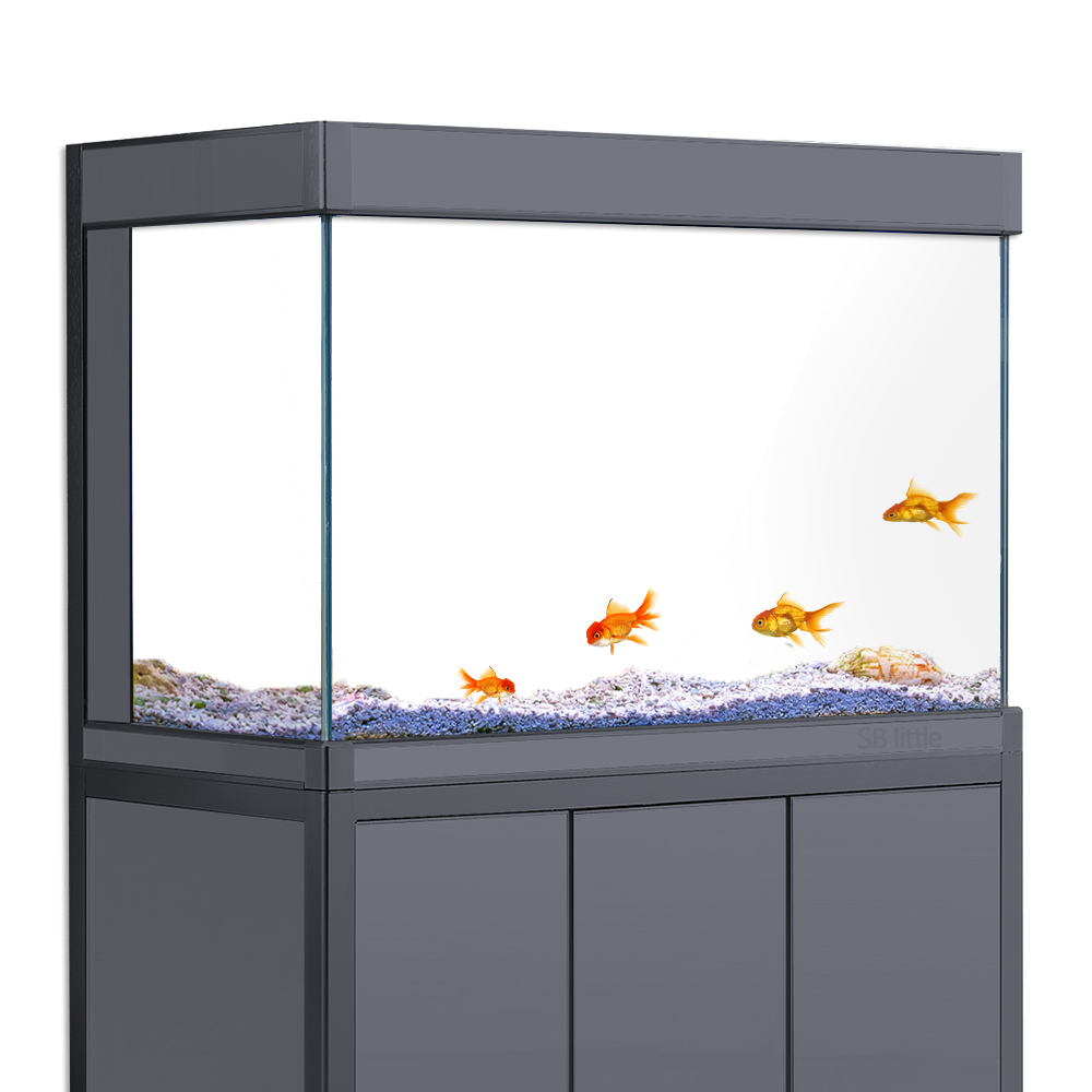 Akvaryum Arka Planı Statik Yap - Aquarium Fish Poster incelemesi ve fiyatı