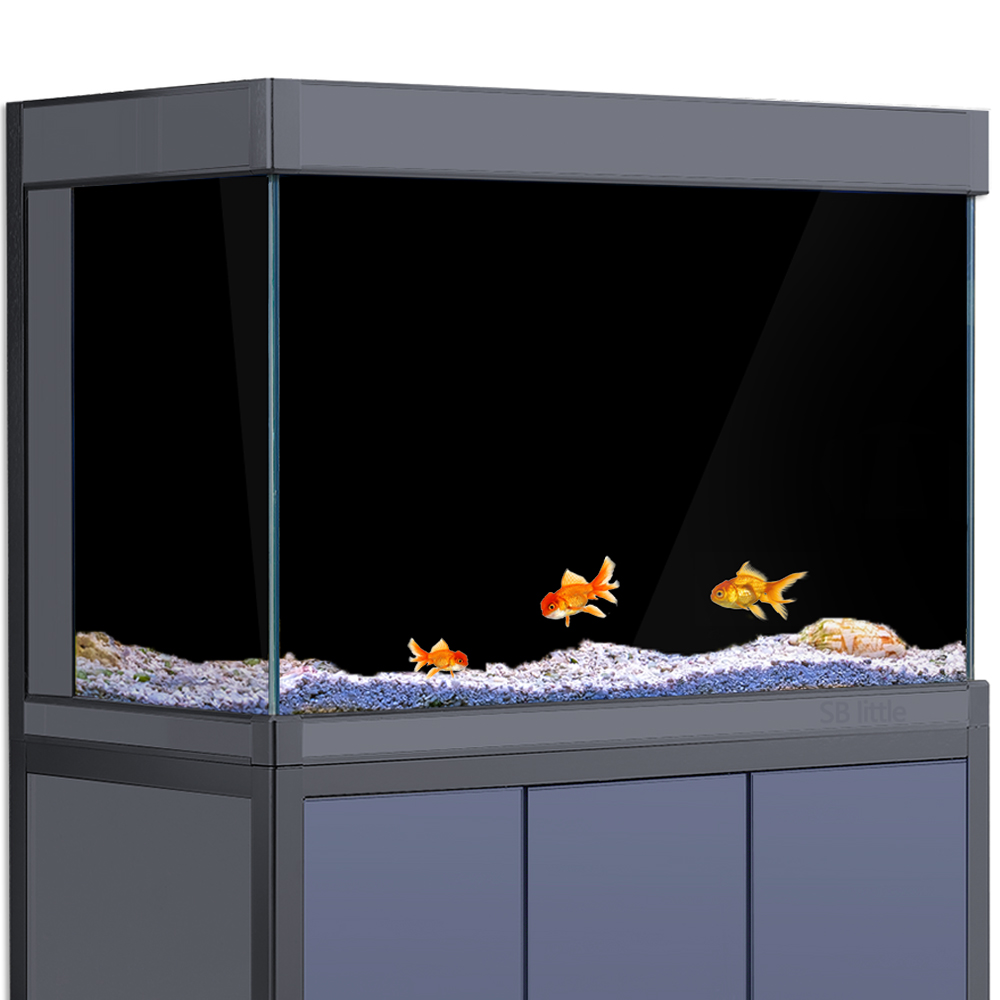 Akvaryum Arka Planı Statik Yap - Aquarium Fish Poster incelemesi ve fiyatı