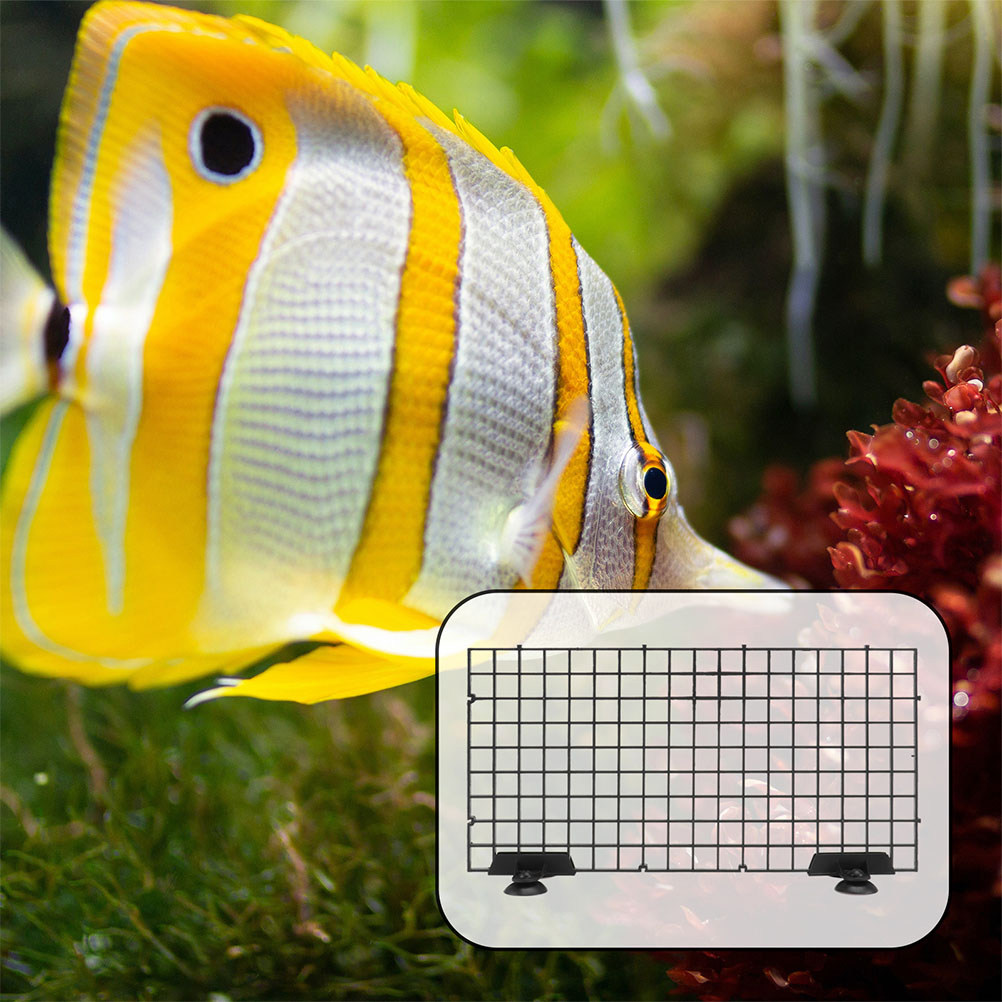 4 Set Balık Tankı Bölücü Ayırı - Tank Divider Mesh incelemesi ve fiyatı