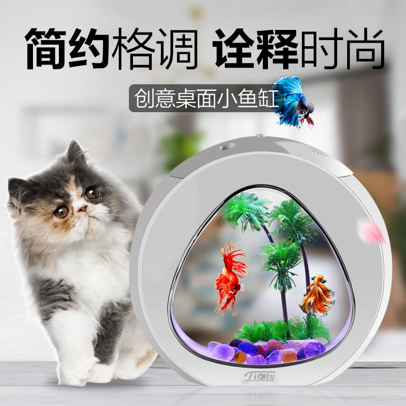 Jialu yaratıcı masaüstü balık  - Aquarium Fish Delivery incelemesi ve fiyatı