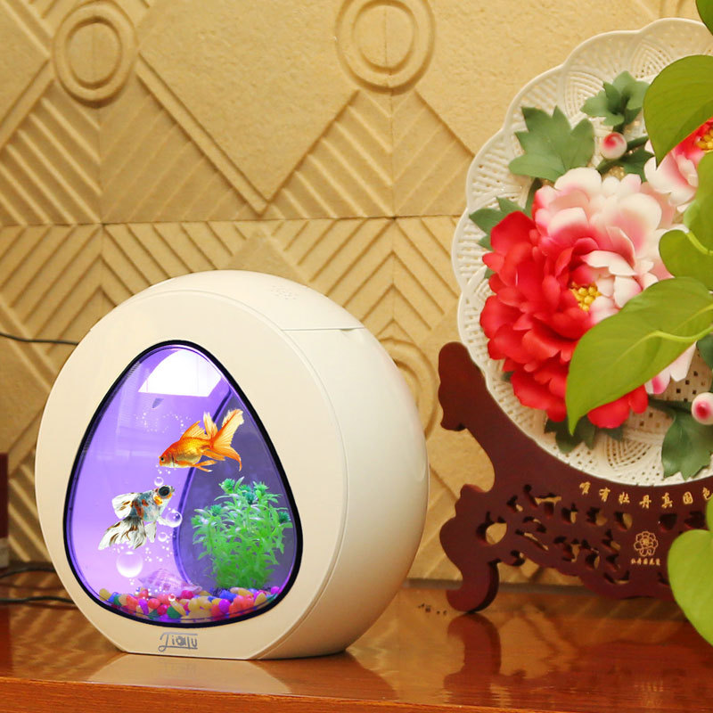 Jialu yaratıcı masaüstü balık  - Aquarium Fish Delivery incelemesi ve fiyatı