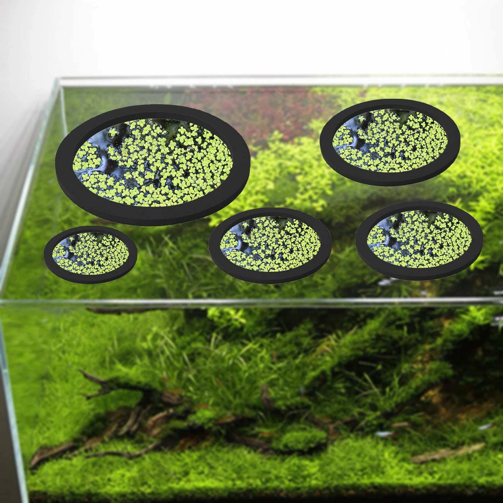 5 adet EVA balık besleme halka - Aquarium Fish Accessories incelemesi ve fiyatı