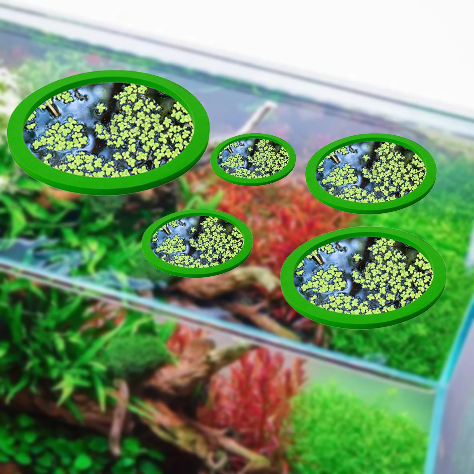5 adet EVA balık besleme halka - Aquarium Fish Accessories incelemesi ve fiyatı