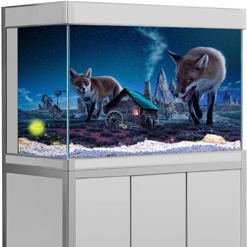 Akvaryum Arka Plan Çıkartması  - Aquarium Fish Poster incelemesi ve fiyatı