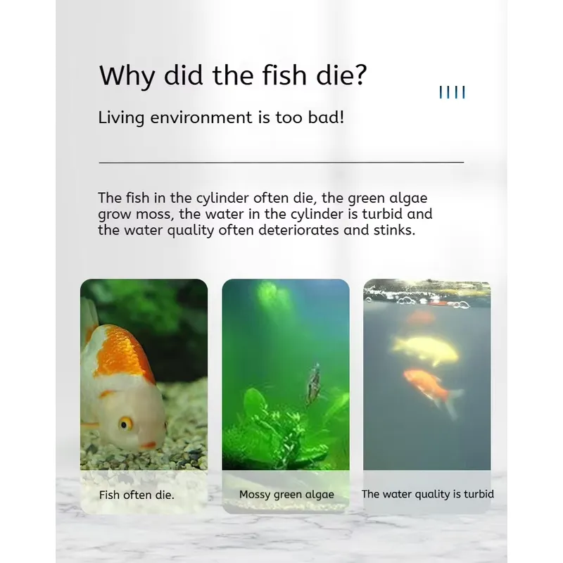 5W Yüksek Kaliteli Çevre Dostu - Aquarium Fish Quality incelemesi ve fiyatı