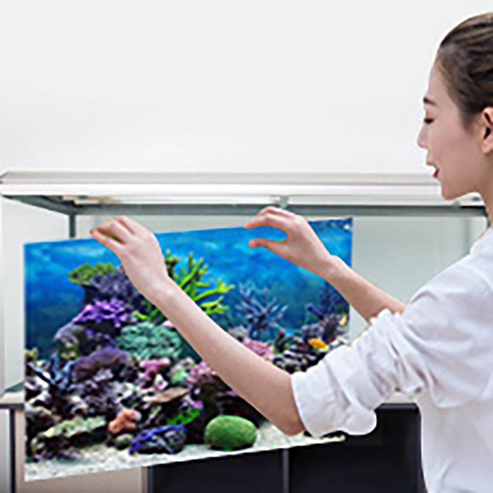 PVC Akvaryum Arka Plan Posteri - Aquarium Fish Poster incelemesi ve fiyatı