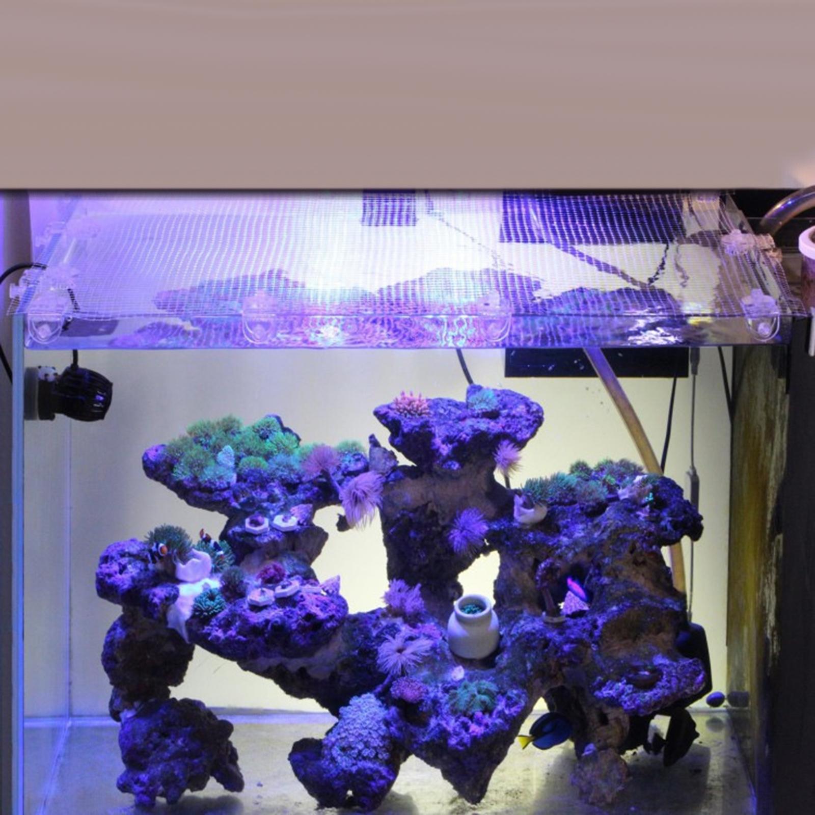 Şeffaf File Balık Tankı Ekranı - Tank Divider Mesh incelemesi ve fiyatı