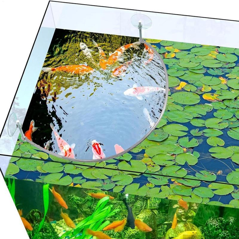 Yüzen Bitki Mercan Balığı Besl - Aquarium Fish Quality incelemesi ve fiyatı