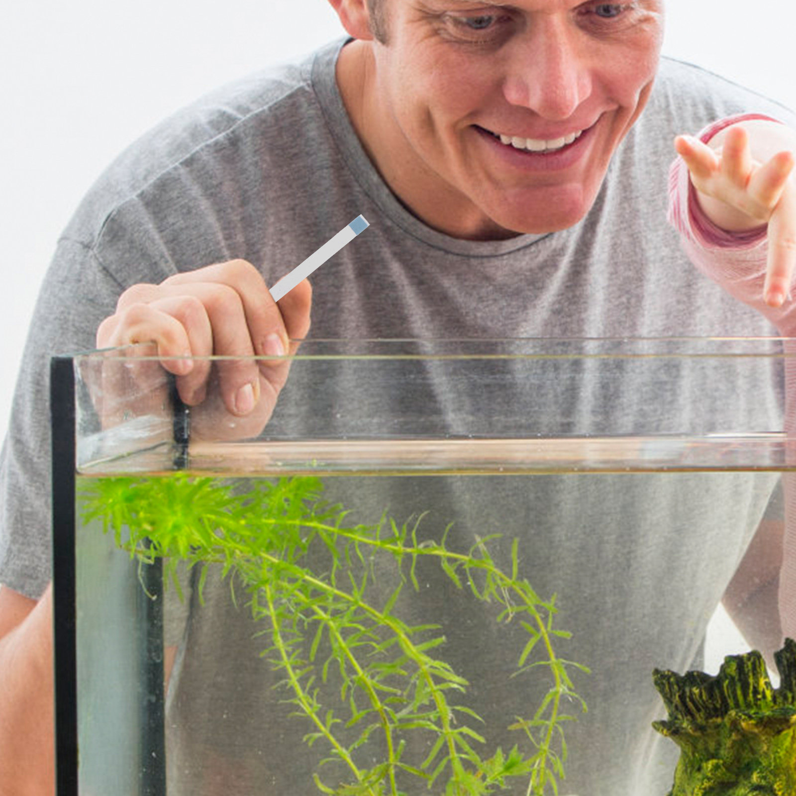 Yüzme Havuzu Test Şeritleri, J - Aquarium Fish Quality incelemesi ve fiyatı