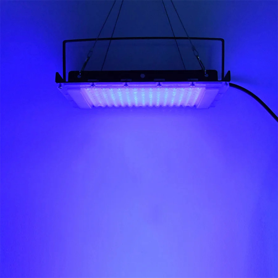 300 W UV 395nm Siyah Işık Ultr - Aquarium Fish Poster incelemesi ve fiyatı