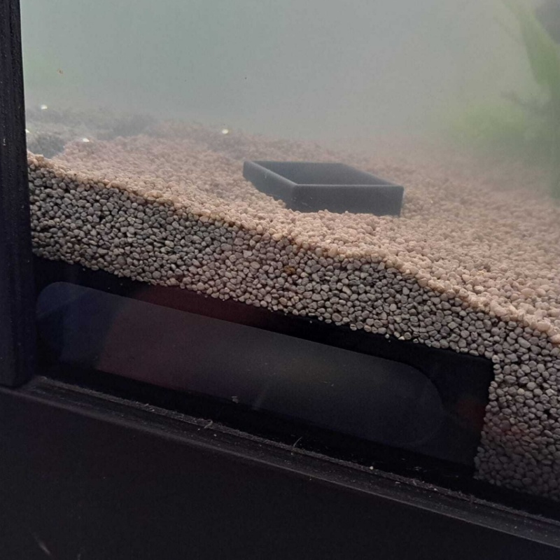 Yarım Daire Akvaryum Köşe Balı - Aquarium Fish Paradise incelemesi ve fiyatı