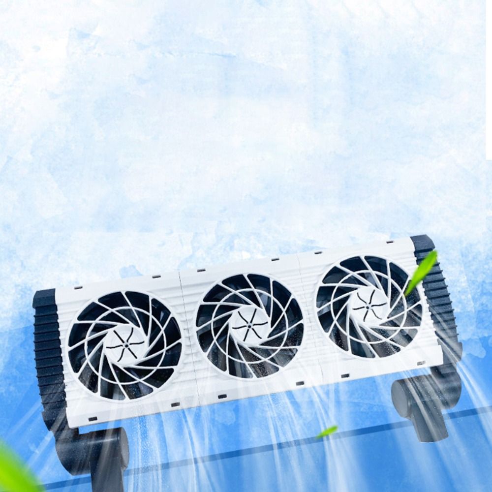 1/2/3/4/5 Kafa Balık Tankı Soğ - Aquarium Fish Uk incelemesi ve fiyatı